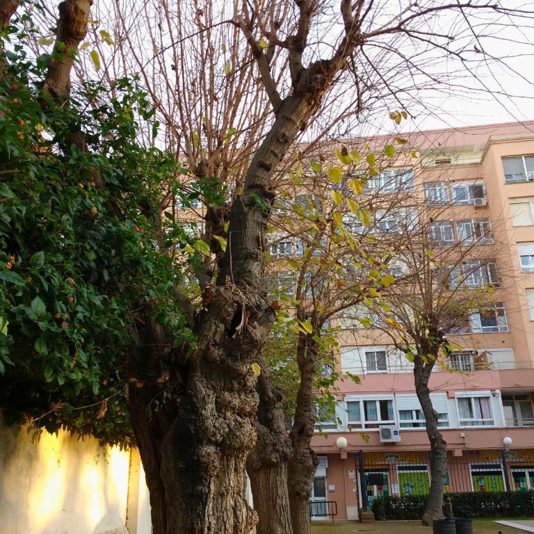 Apartamento Ecuador Cadiz a un minuto andando de la playa y a seis del casco antiguo - Apartamento de 3 dormitorios - 13