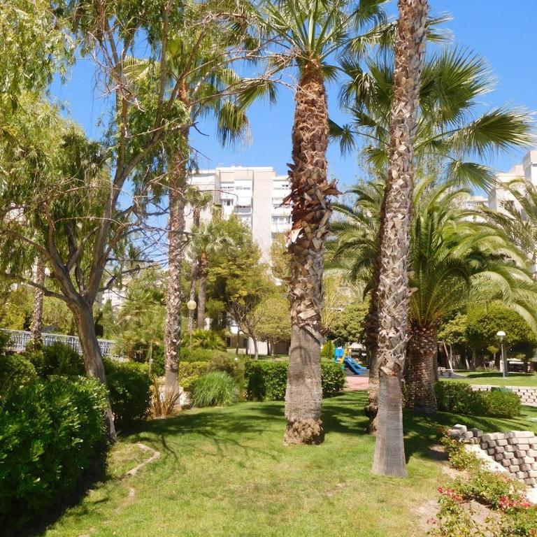 Precious Apartment in Alicante, Playa San Juan - Apartment with Terrace - 5