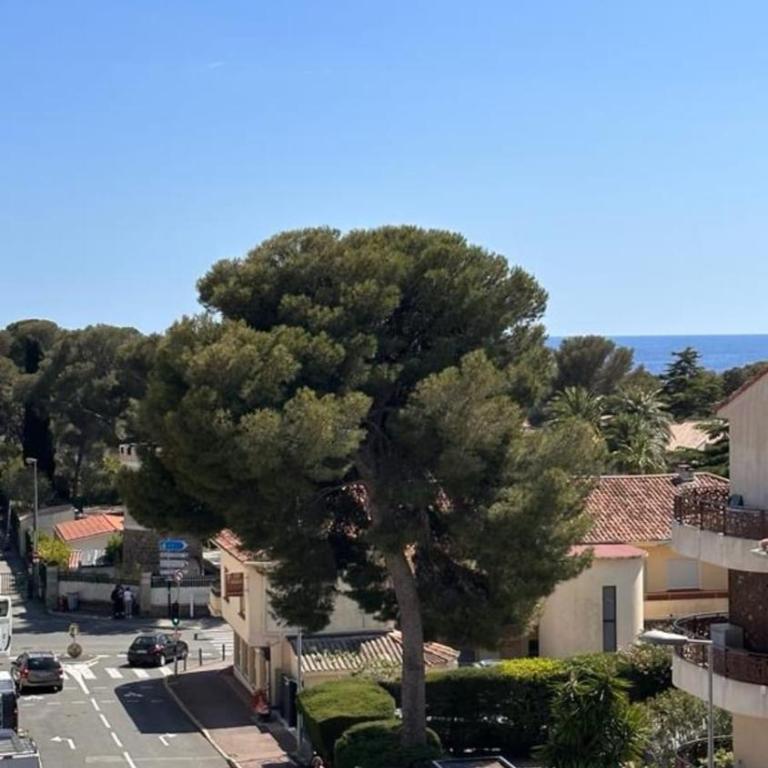 35m2 Sea View with Terrace beach by walk - Appartamento - 14