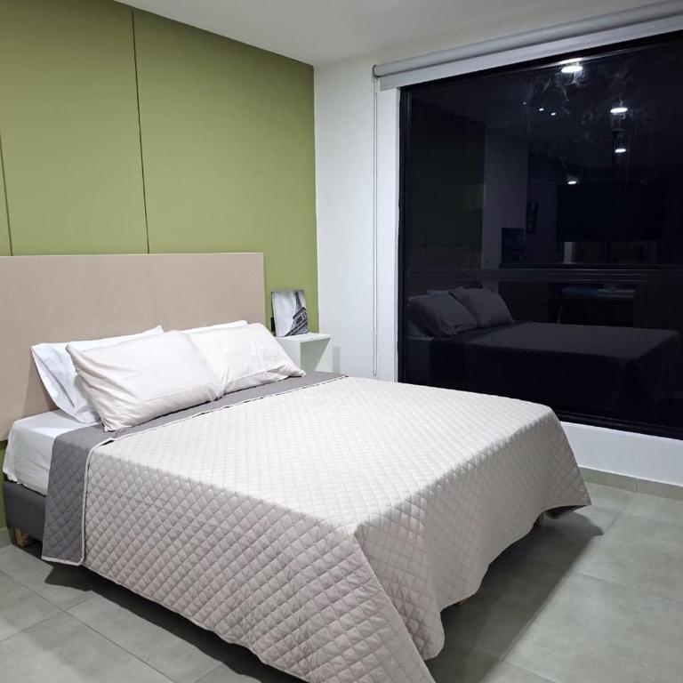 coral 501 - One-Bedroom Apartment - 5