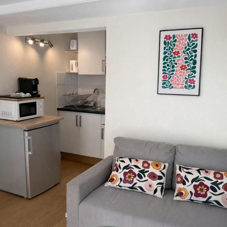 Appartement lumineux - centre ville - Appartement 2 Chambres - 10