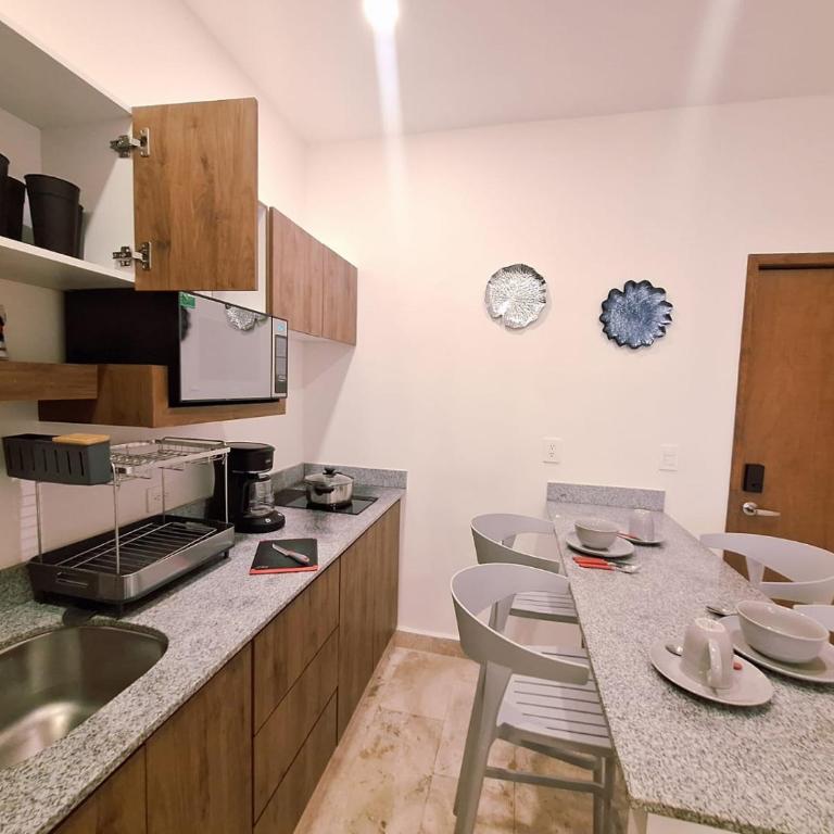 Suite privada Deluxe Itzamna playa - Apartamento Estudio - 31