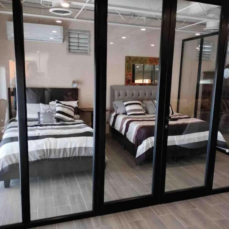 SB 301 y 302 Suite Buenavista - Suite - 14