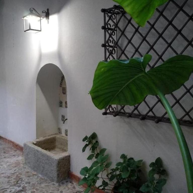 El Patio del Convento - Apartamento - 30