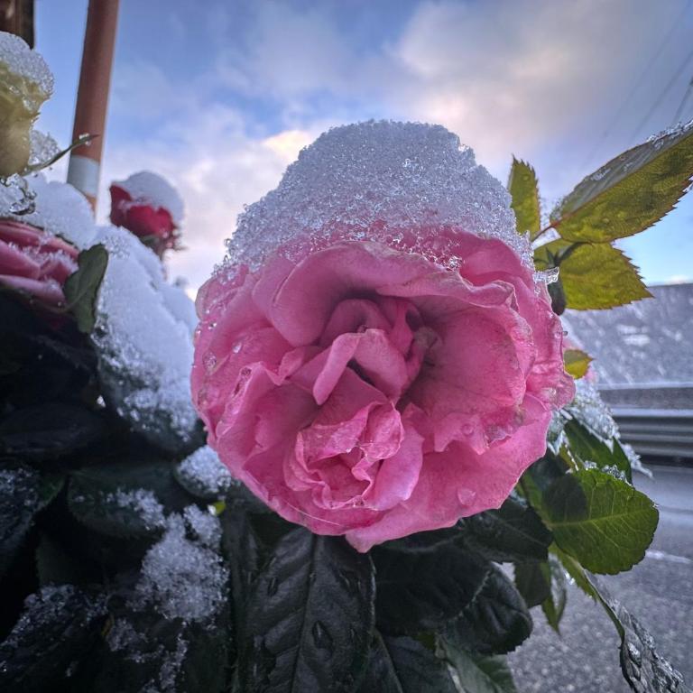 La Rose d Eva - Chalet mit 3 Schlafzimmern - 21