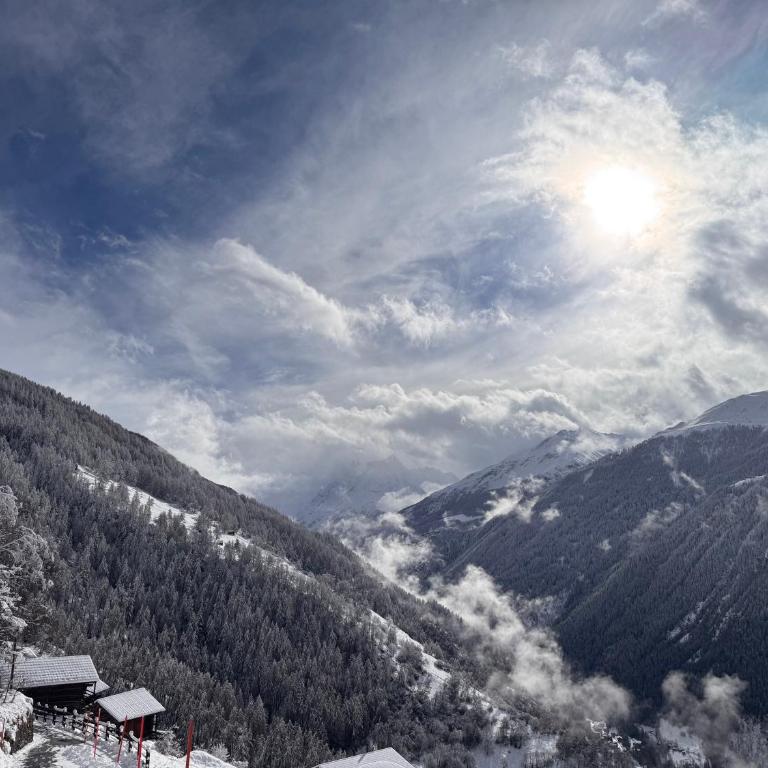 La Rose d Eva - Chalet mit 3 Schlafzimmern - 26
