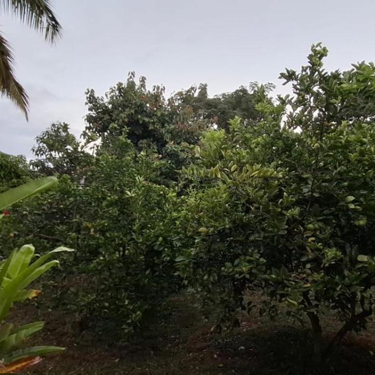 Casa Ika Moana - Casa de 2 dormitorios - 12