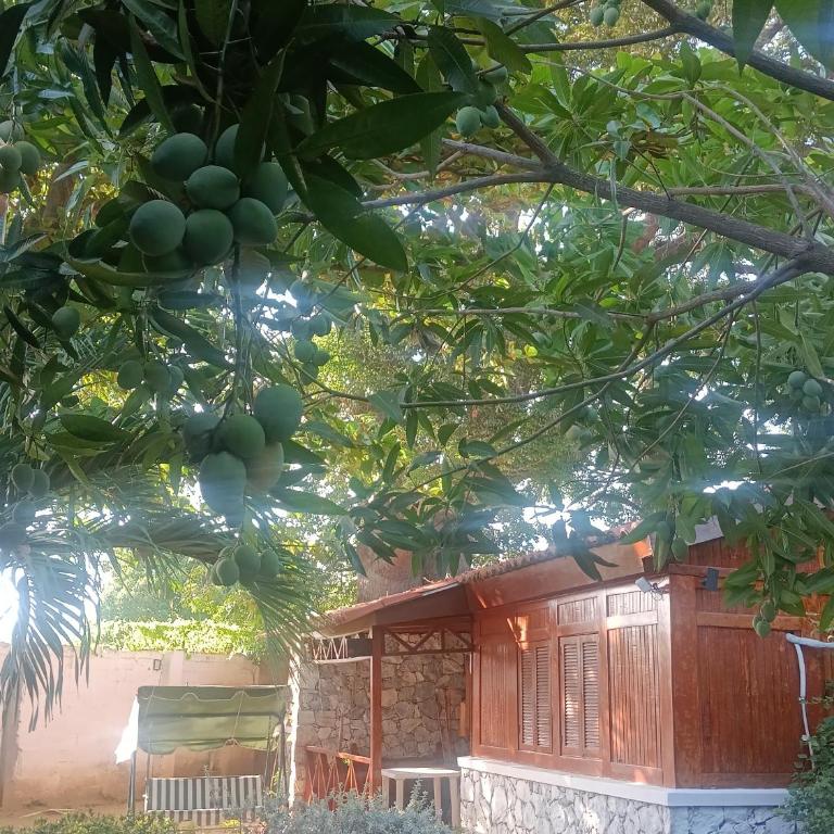 Chalet Completo para Familias Condominio Campestre Privado con Piscinas, wifi, AC - Casa de 2 dormitorios - 24