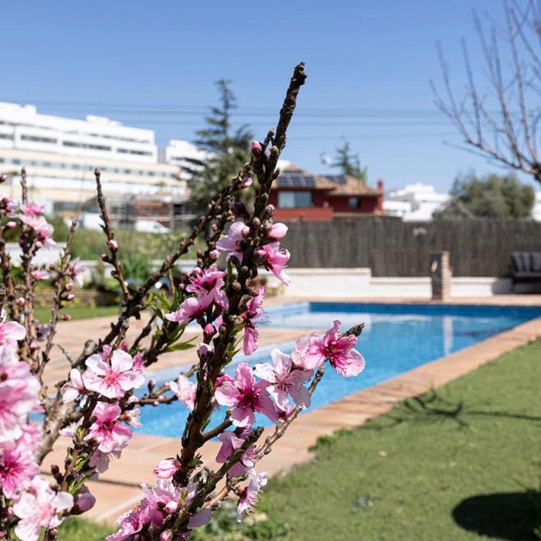 Casa Vincke apartment with pool and sea view - Apartamento de 1 dormitorio - 9