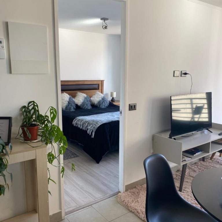 Departamento Central Valdivia - One-Bedroom Apartment - 8