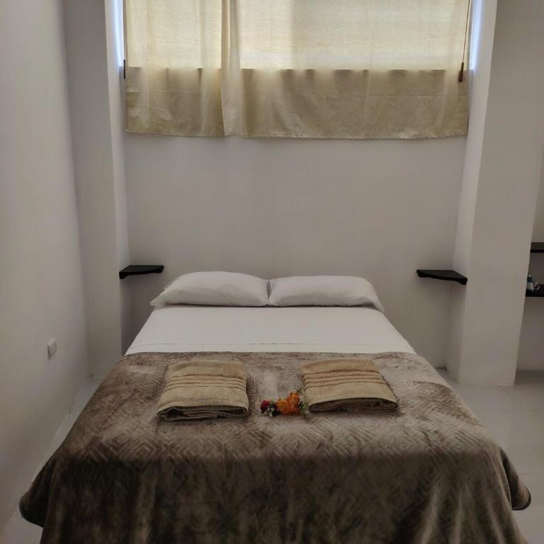 Galápagos Finch Apartment - One-Bedroom Apartment - 7