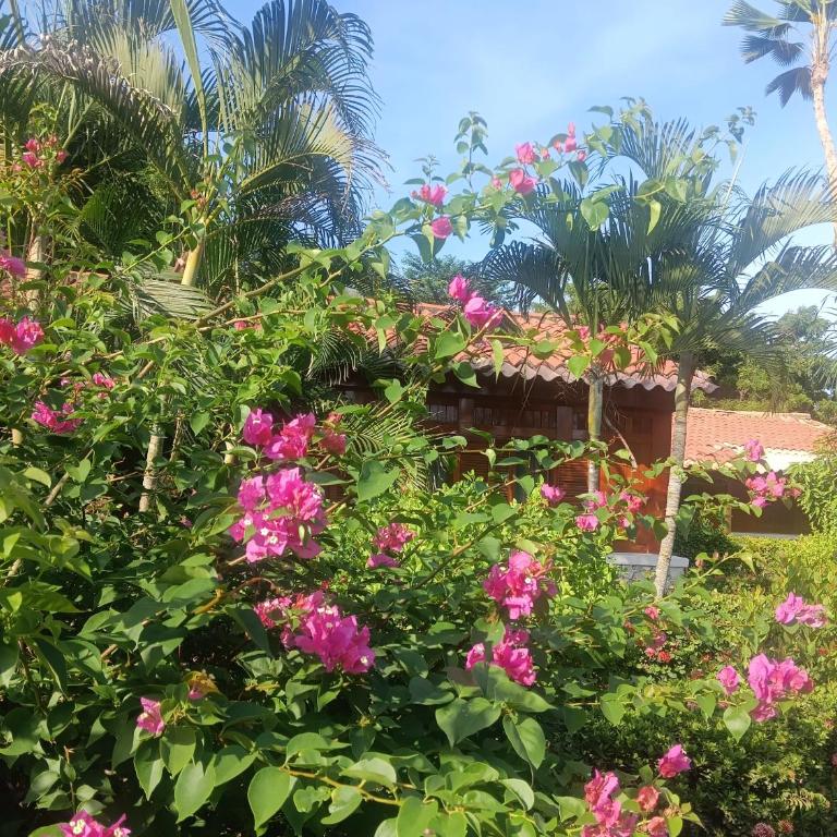 Cabaña Parejas y Familias Condominio Campestre cerca Rodadero con Piscinas - Casa de 2 dormitorios - 30