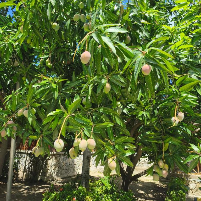 Cabaña Parejas y Familias Condominio Campestre cerca Rodadero con Piscinas - Casa de 2 dormitorios - 35
