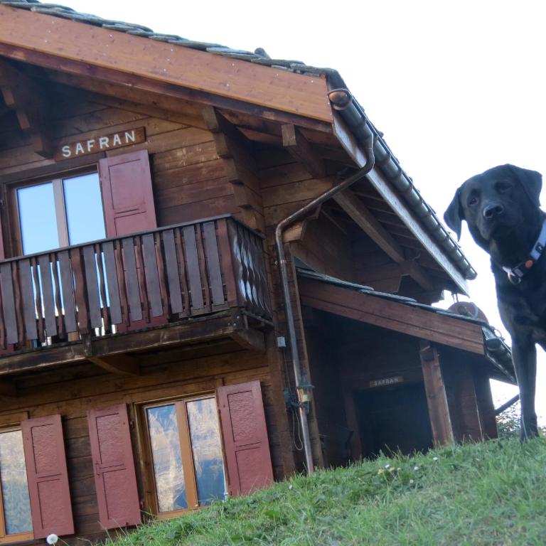 Chalet Safran - Apartment mit 3 Schlafzimmern und Bergblick - 5
