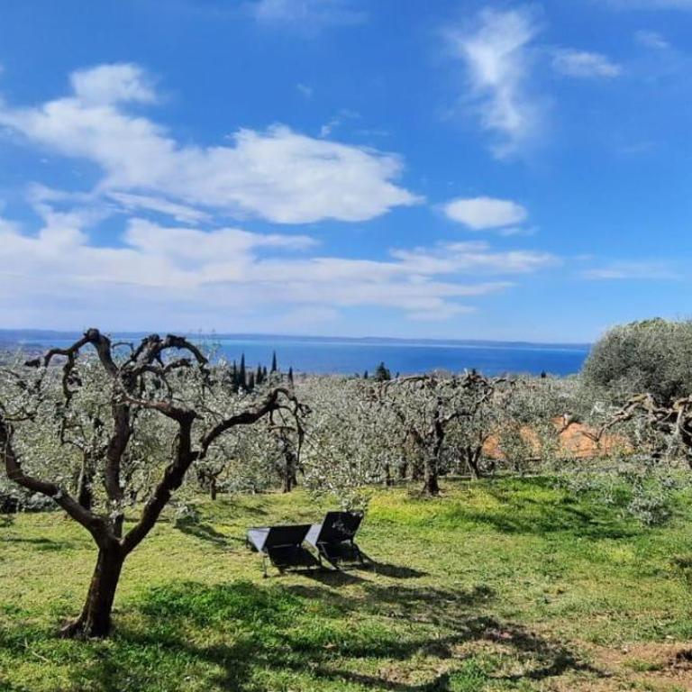 Villa Cà Bottura agli ulivi - Casa con 3 Camere da Letto - 60