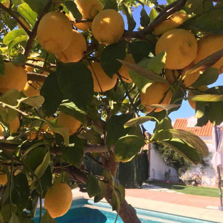Riad Paraíso en plena naturaleza con piscina privada en Málaga - Casa de 3 dormitorios - 20