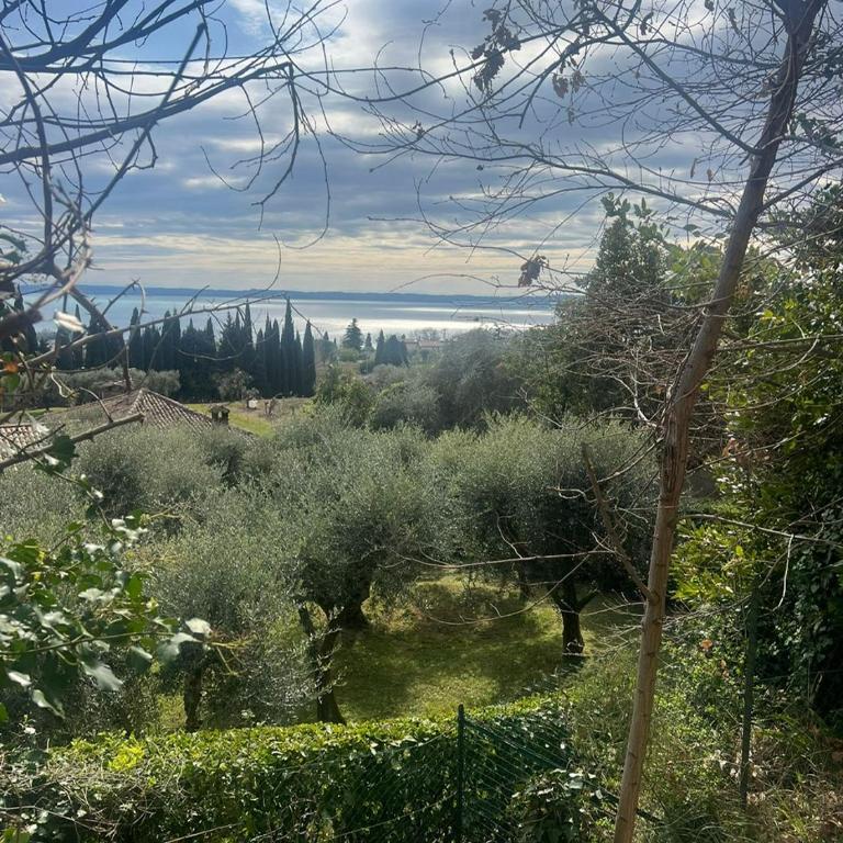 Villa Cà Bottura agli ulivi - Casa con 3 Camere da Letto - 64