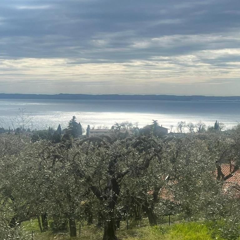 Villa Cà Bottura agli ulivi - Casa con 3 Camere da Letto - 65