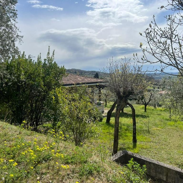 Villa Cà Bottura agli ulivi - Casa con 3 Camere da Letto - 8