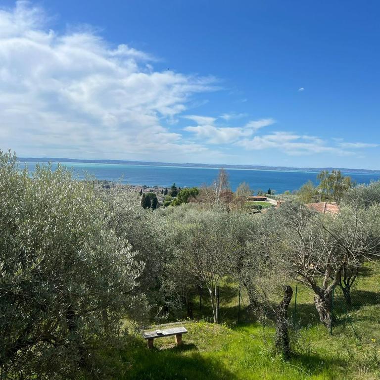 Villa Cà Bottura agli ulivi - Casa con 3 Camere da Letto - 68