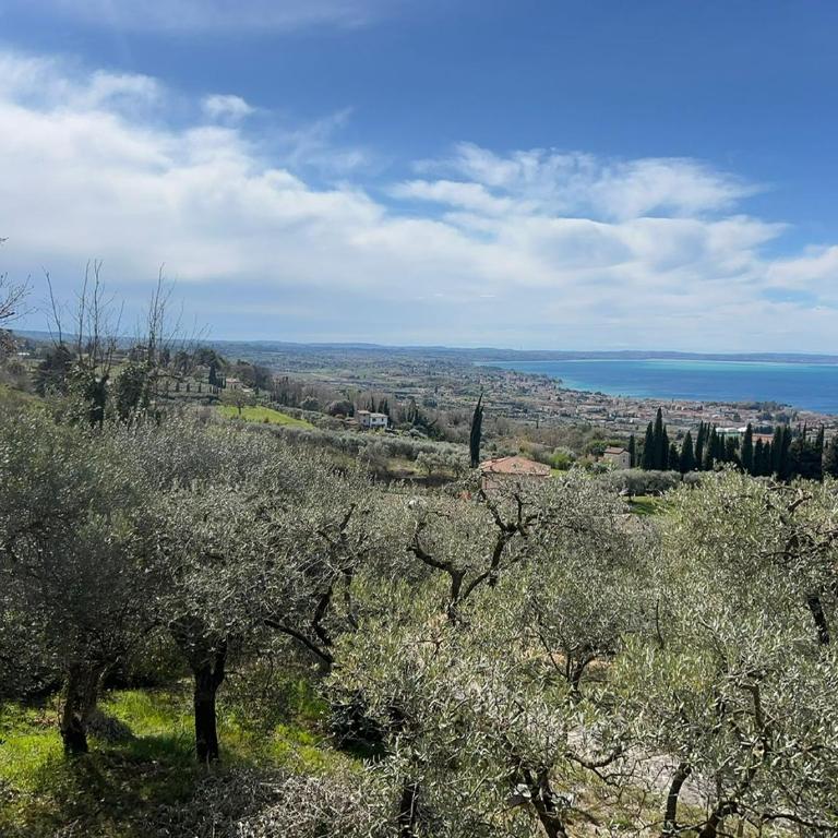 Villa Cà Bottura agli ulivi - Casa con 3 Camere da Letto - 69