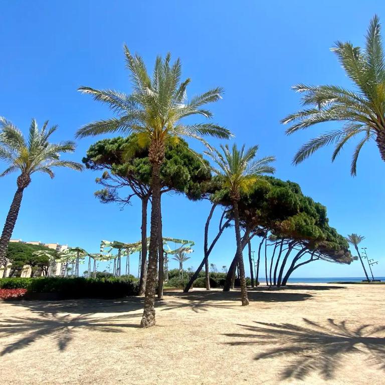 Confortable apartamento en La Pineda - Two-Bedroom Apartment - 6