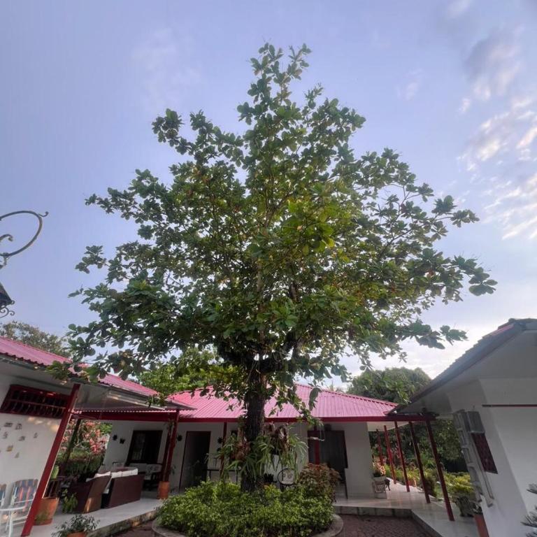 Finca el milagro Melgar - Villa de 3 dormitorios - 15