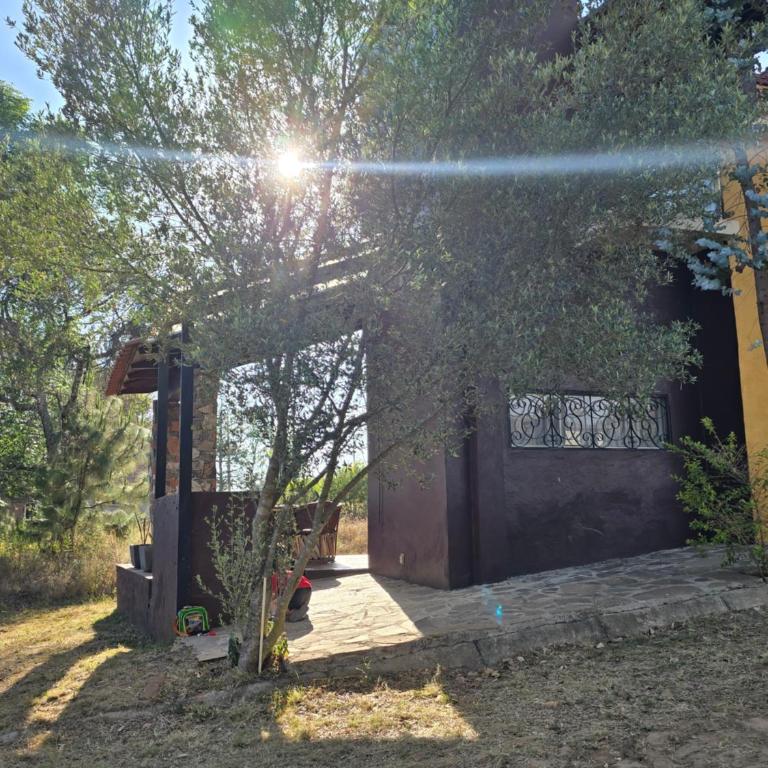 Cabaña Eucalipto 32 - Casa de 2 dormitorios - 2