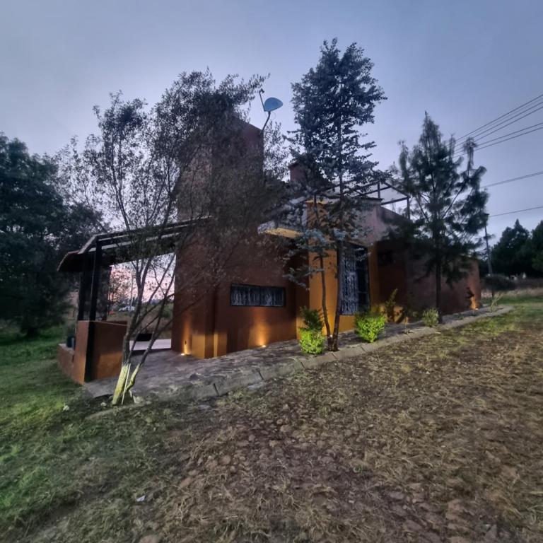 Cabaña Eucalipto 32 - Casa de 2 dormitorios - 3