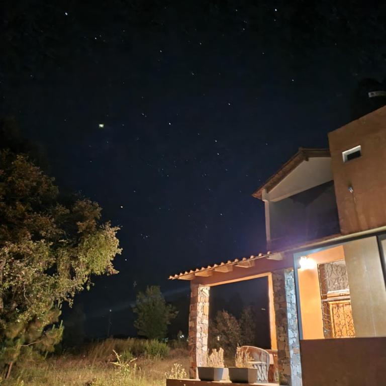 Cabaña Eucalipto 32 - Casa de 2 dormitorios - 8