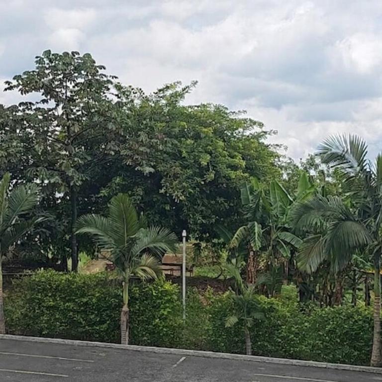 Family Home in Armenia, Quindío - One-Bedroom House - 14