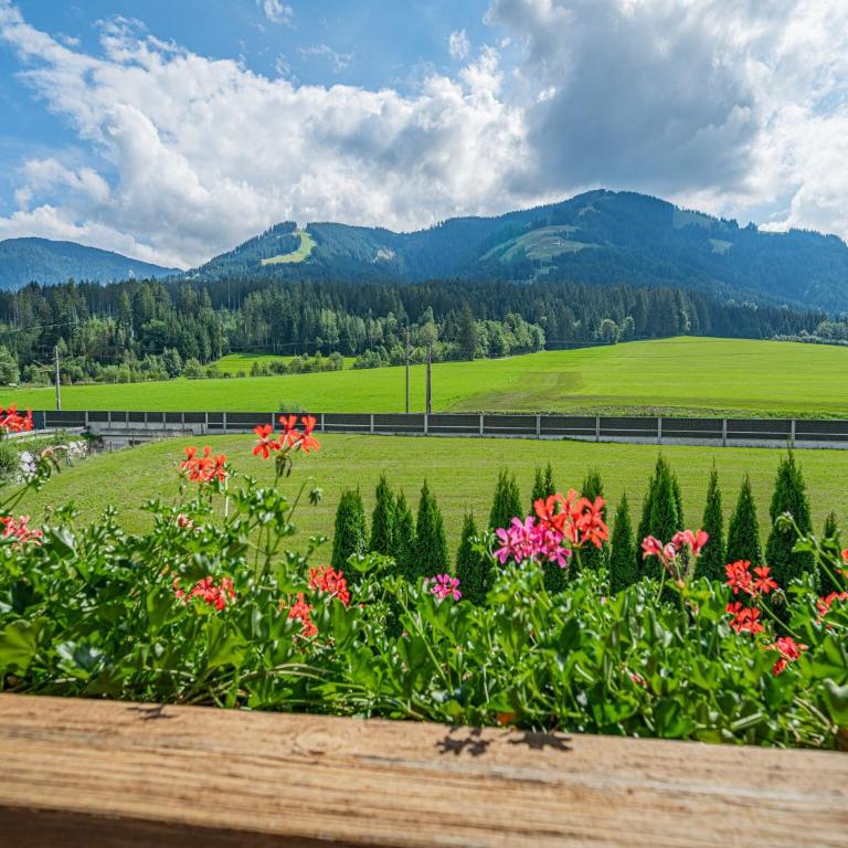 Apartment in Brixen near Wilder Kaiser Gondola - Apartment mit 1 Schlafzimmer - 7