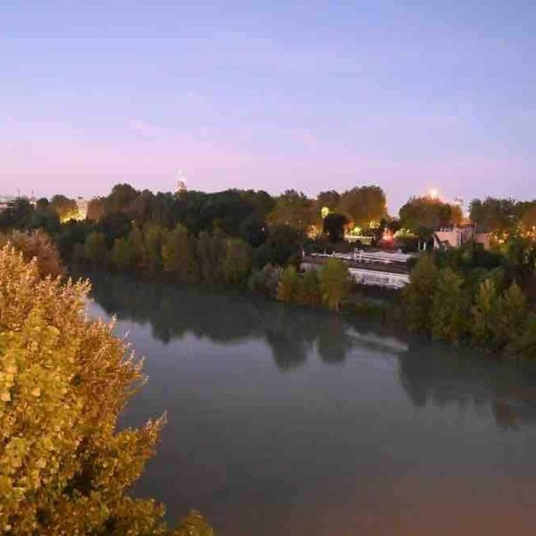 Mini House in Rome - Flaminio - Appartamento con 1 Camera da Letto - 26