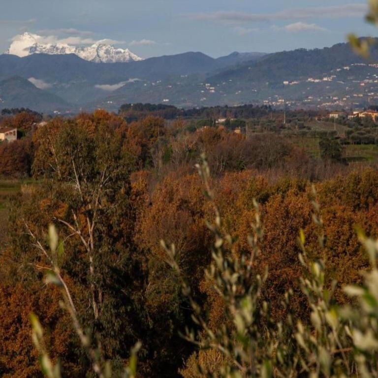 Lucca Central Garden Cottage - Casa Vacanze con 2 Camere da Letto - 24