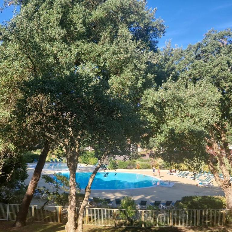 Les Fougères – T1 bis 4 pers Piscines Plage - Appartement - 3