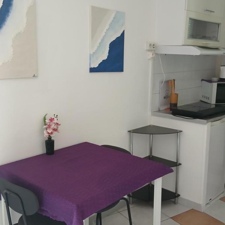 Stud terras Ville Corniche 2 pers stat gratuit rue Modif suivt possib et accord exclusif - Studio avec Terrasse - 10