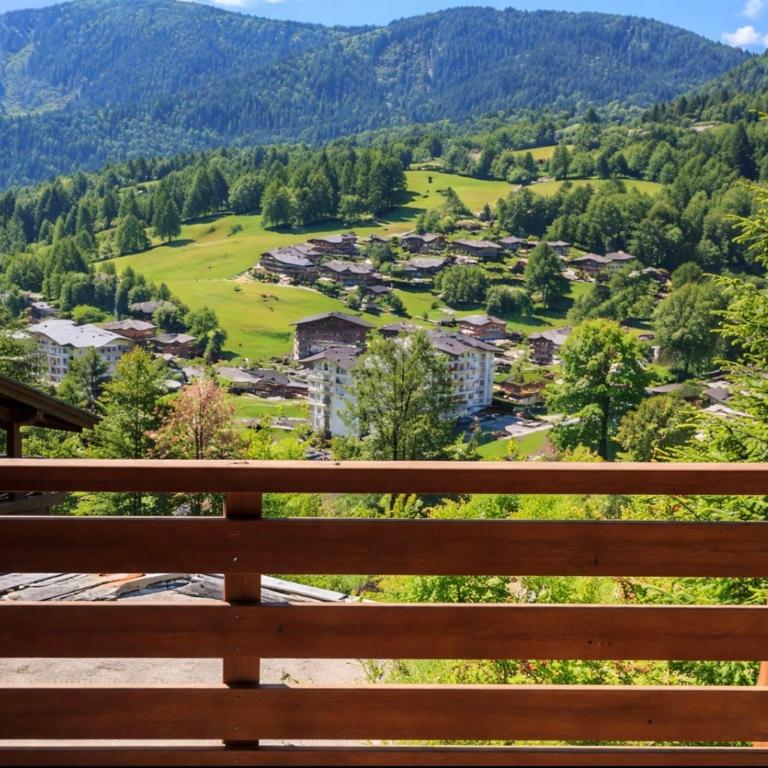 Studio cosy avec balcon vue Mont blanc Parking - Studio - 11