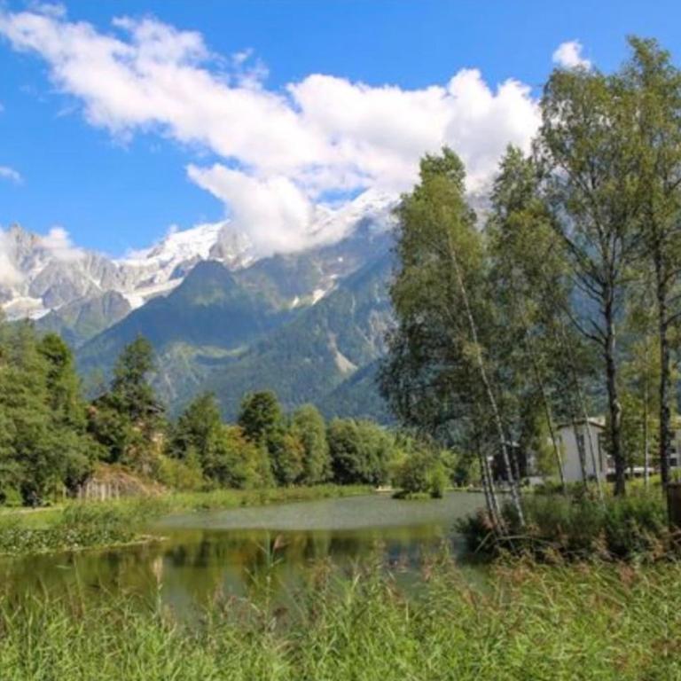 Studio cosy avec balcon vue Mont blanc Parking - Studio - 12