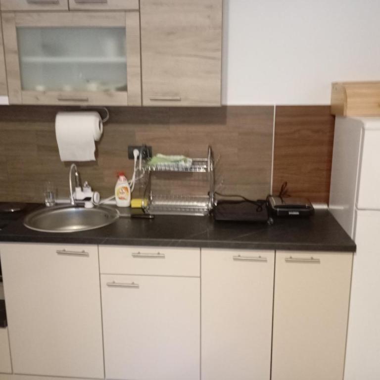 MILMARI Resort apartman Sofija P88 - One-Bedroom Apartment - 19