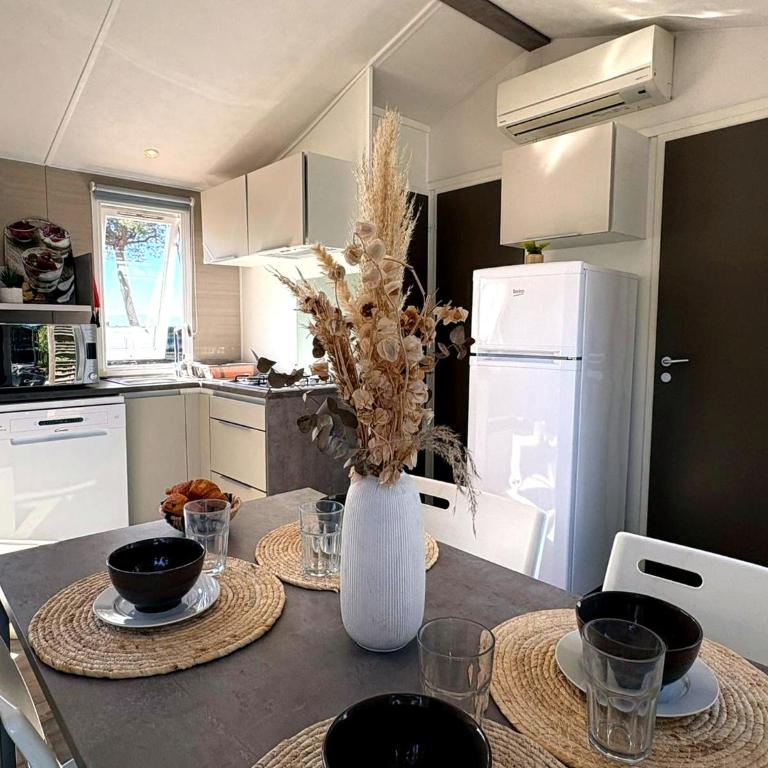 L'Olivier Mobile Home 6 Personnes Camping 4 étoiles Homair La Presquile du Barcarès Piscine et plage à 3 kms - Chalet 3 Chambres - 19