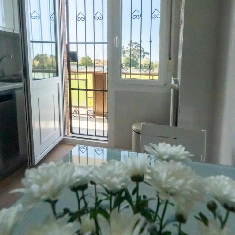 Villa Si y No - Casa - 44