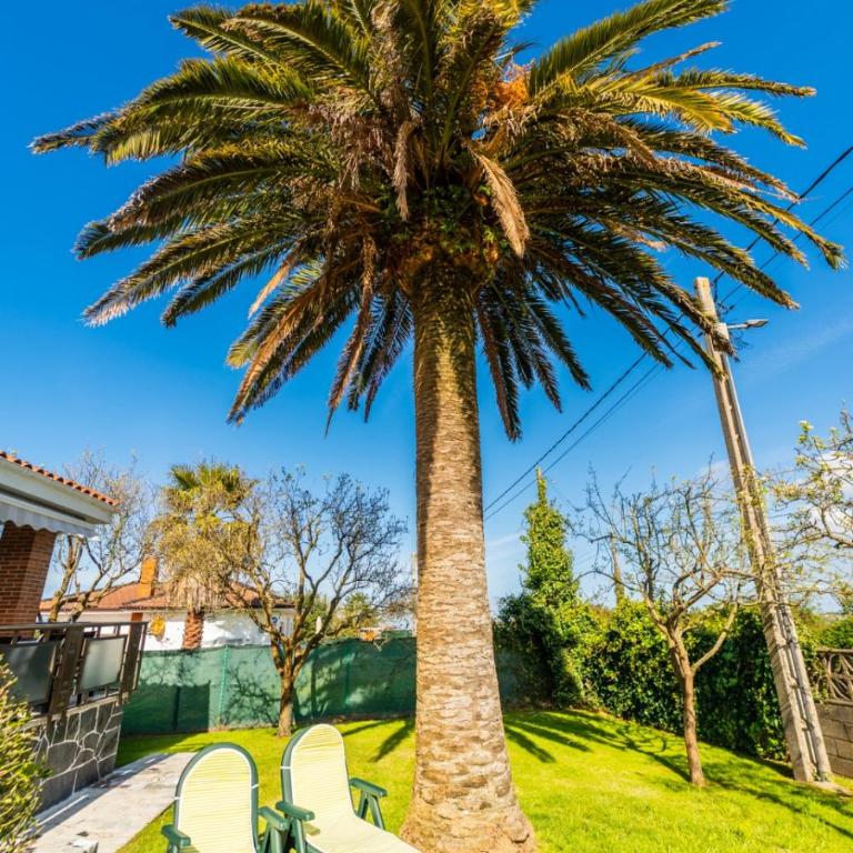 Villa Si y No - Casa - 72