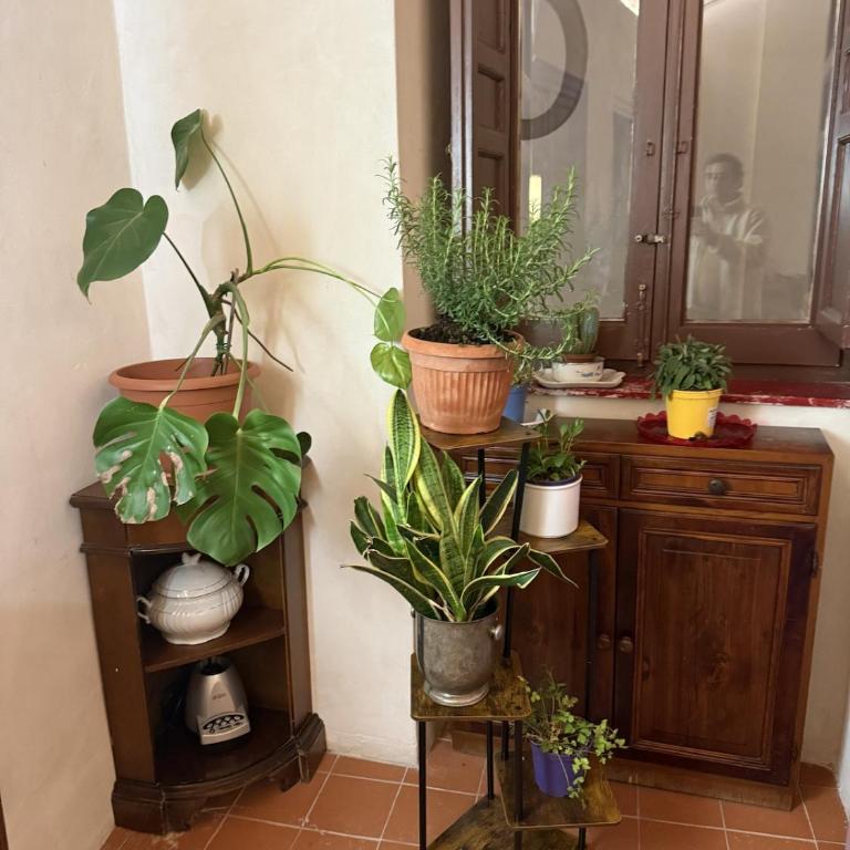 Xenia House con terrazza - Cuore del Centro Storico di Palermo - Appartamento con 2 Camere da Letto - 32