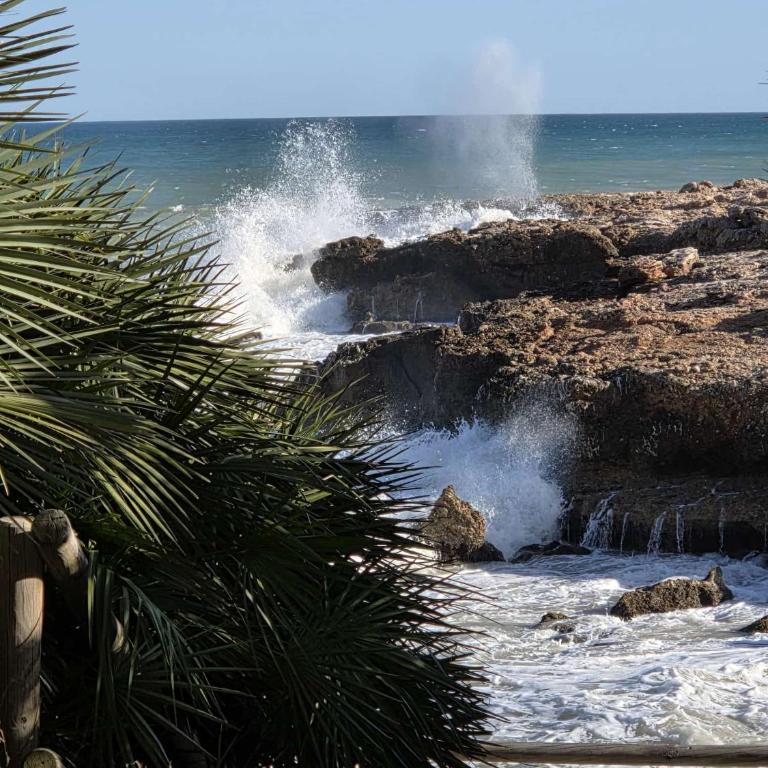 Ático con vistas al mar - Apartamento de 1 dormitorio - 32