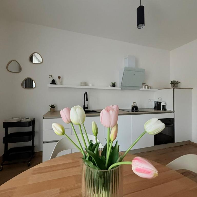 San Simplicio Relax Apartment - Appartamento con 1 Camera da Letto - 3