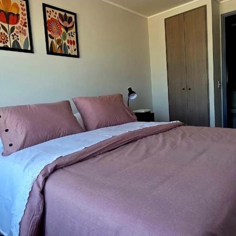 Departamento cerca de Movistar Arena, Parque Estadio Nacional, Teatro Caupolicán - One-Bedroom Apartment - 3