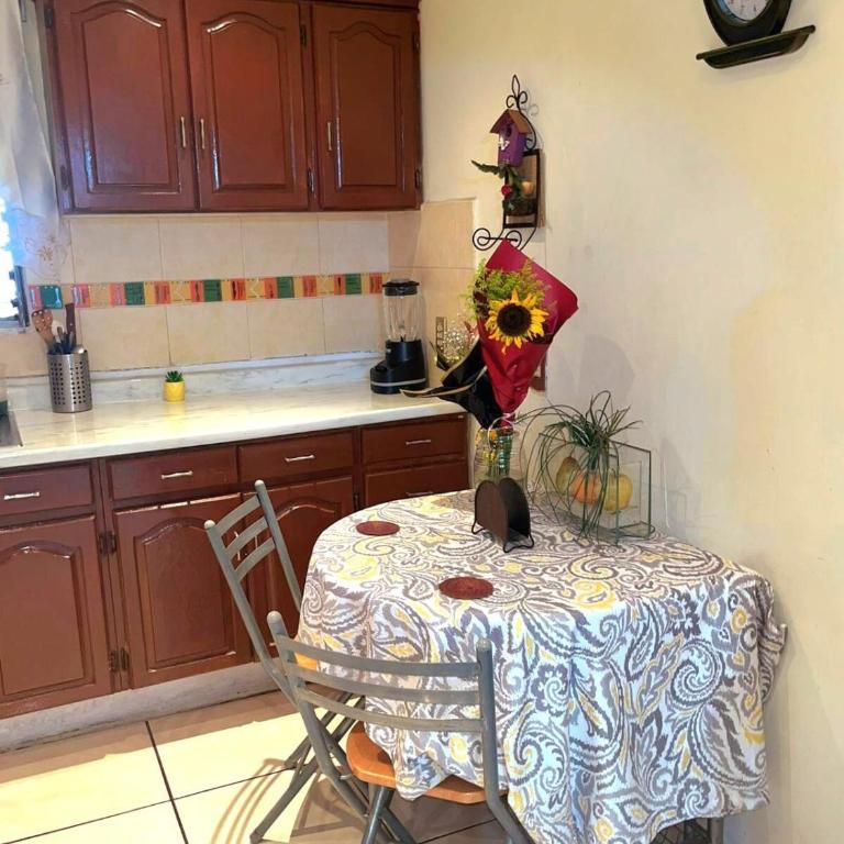 Casa Paraíso céntrica y con estacionamiento a minutos del zoológico - Vacation Home - 40