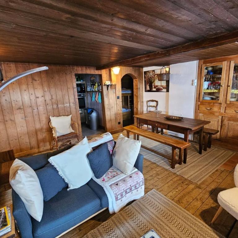 Appt 8 pers vue Aravis - Ski aux pieds - Chalet - 1