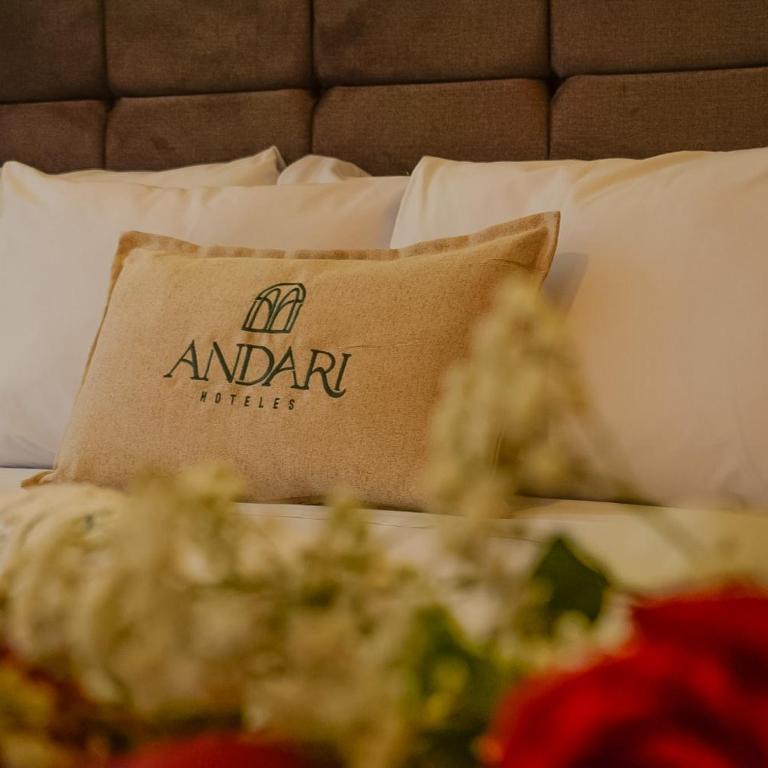 Hotel Anddari - Habitación Deluxe - 6