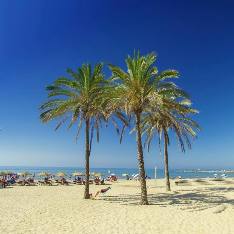 SR Bajadilla beach front with wonderful sea view - Apartamento de 2 dormitorios con terraza y vistas al mar - 41